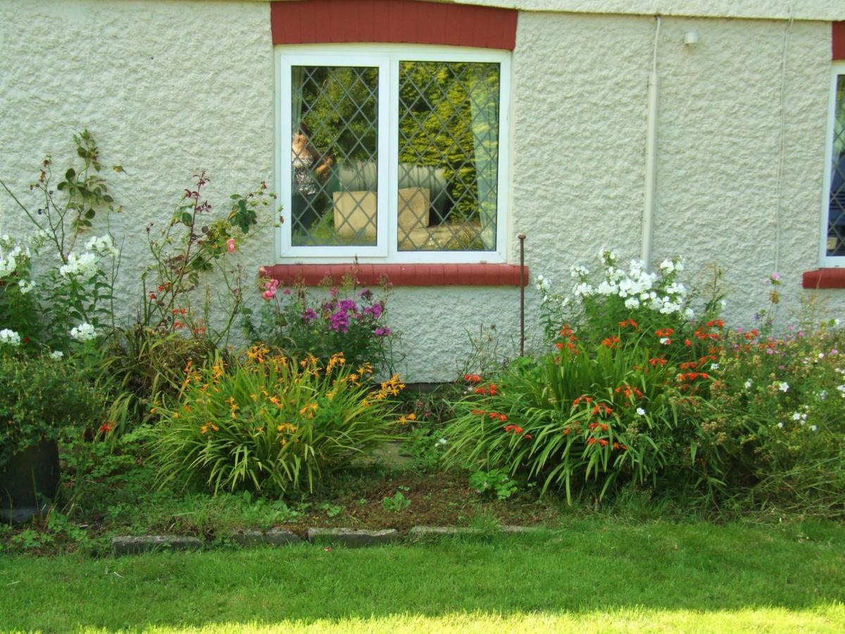 Firtrees Villa Selby Exteriör bild